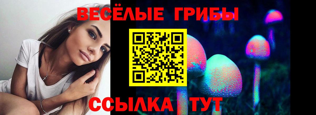 Галлюциногенные грибы Psilocybe  Вход с VPN  Тара 